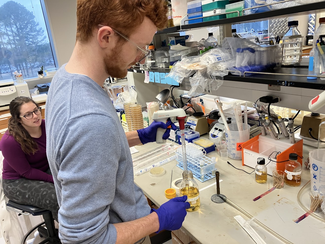 AMALTHEA biological experiment development